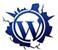 Wordpress training courses